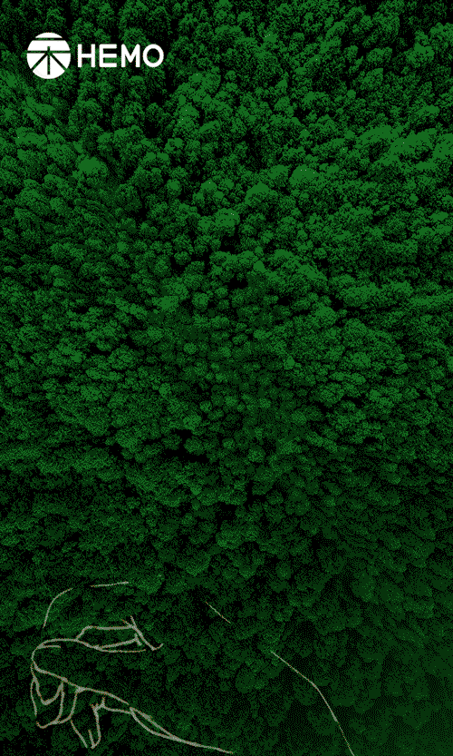 055-GIF4.gif