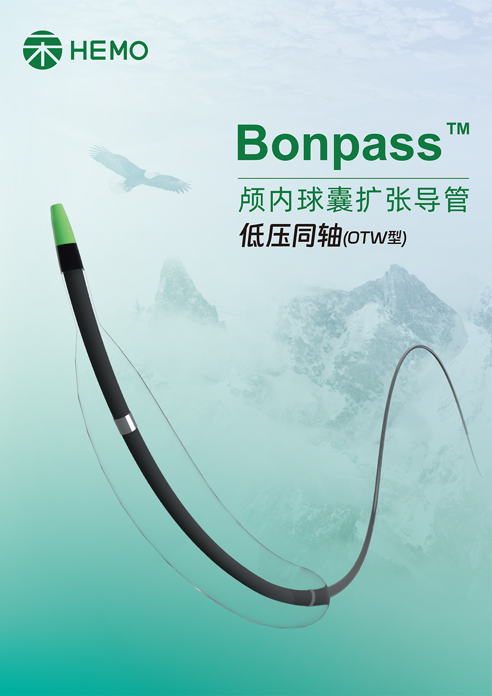 Bonpass™ 颅内球囊扩张导管