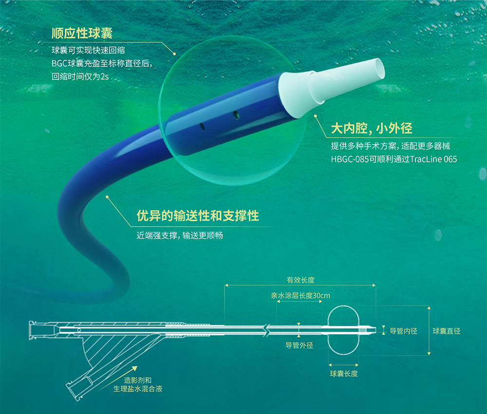 FlexStar™ 球囊导引导管