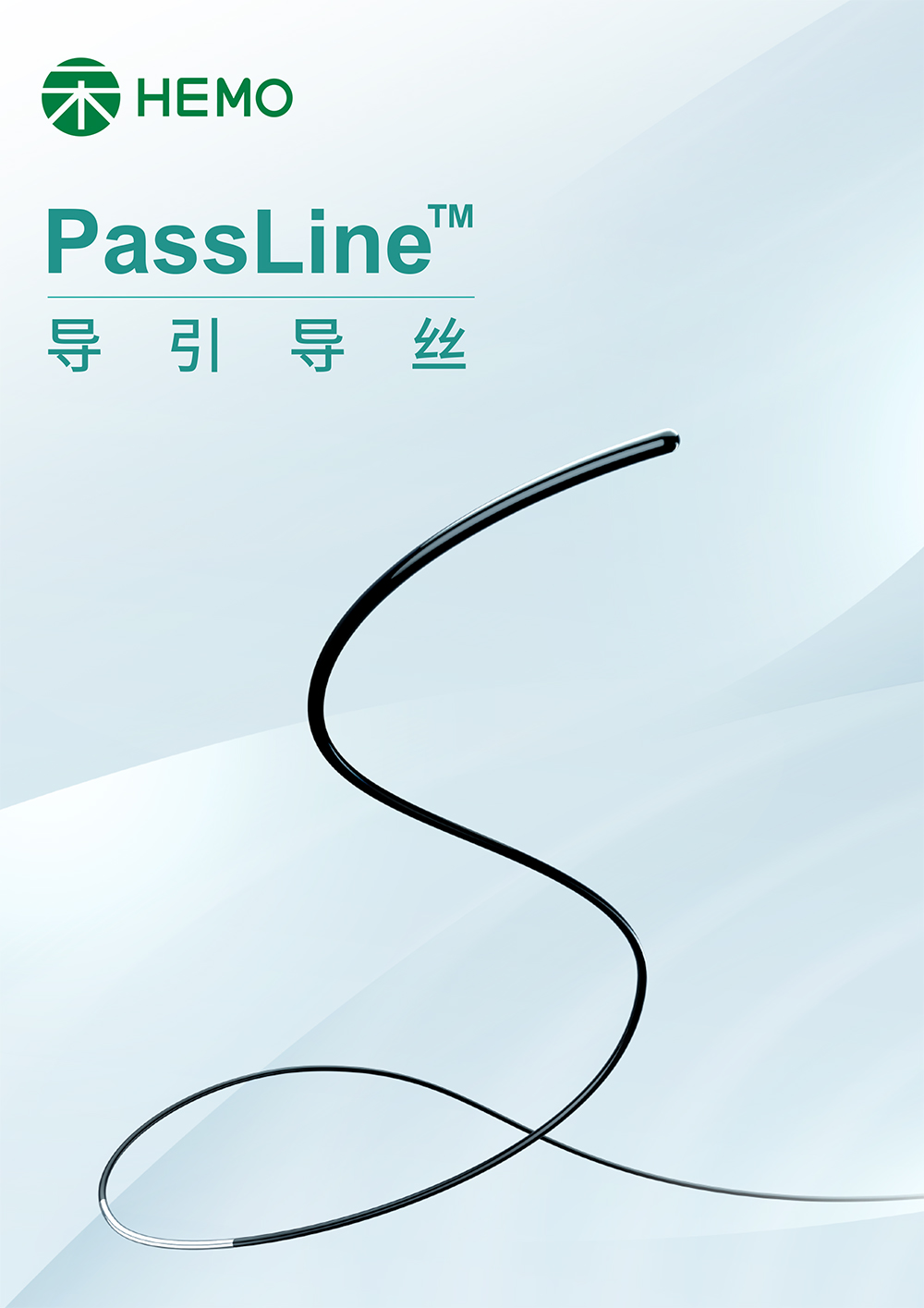 PassLine™ 导引导丝