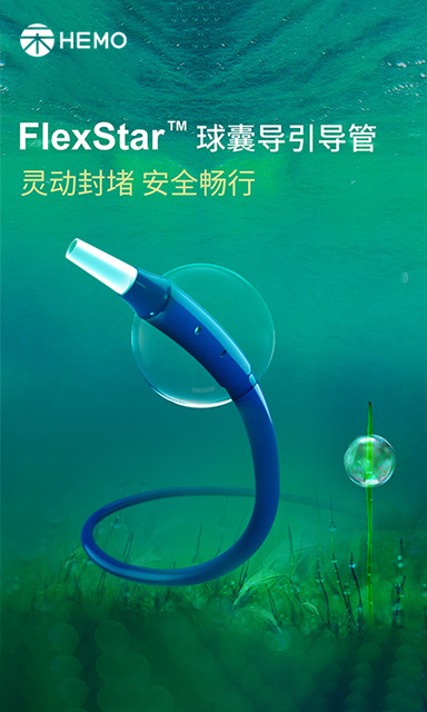 FlexStar™ 球囊导引导管