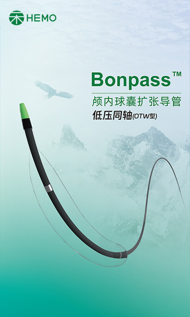 Bonpass™ 颅内球囊扩张导管