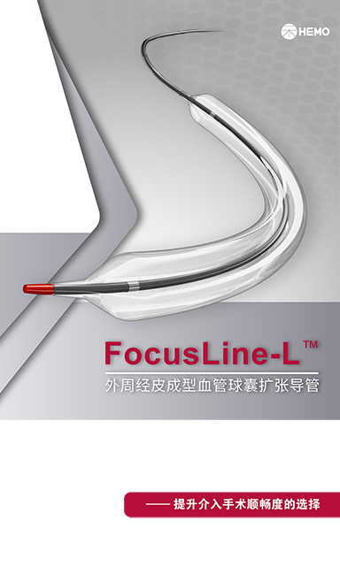 FocusLine-L™ 外周球囊