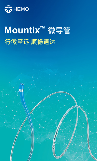 Mountix™ 微导管