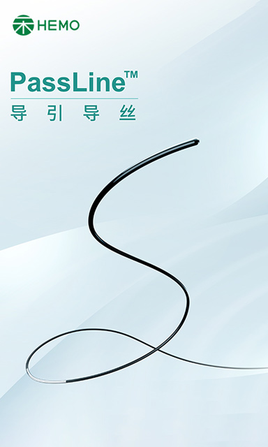 PassLine™ 导引导丝