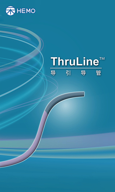 ThruLine™ 导引导管