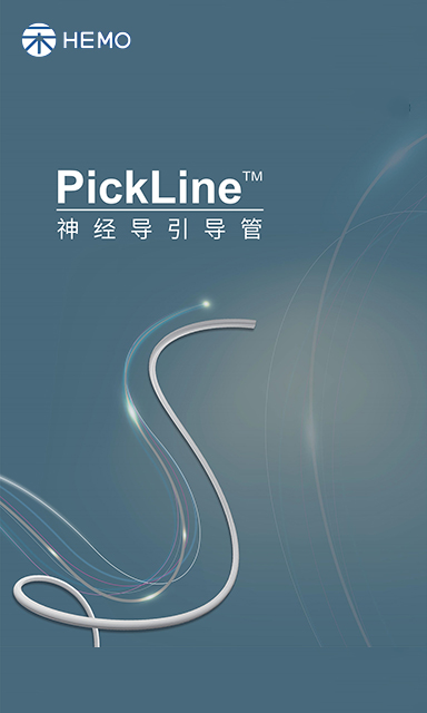 PickLine™ 神经导引导管