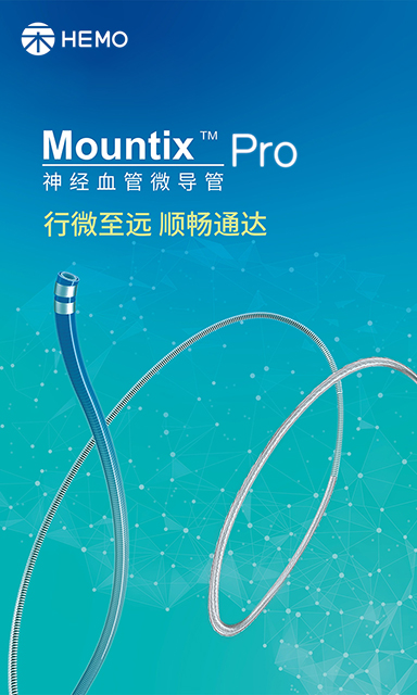 Mountix™ Pro 神经血管微导管