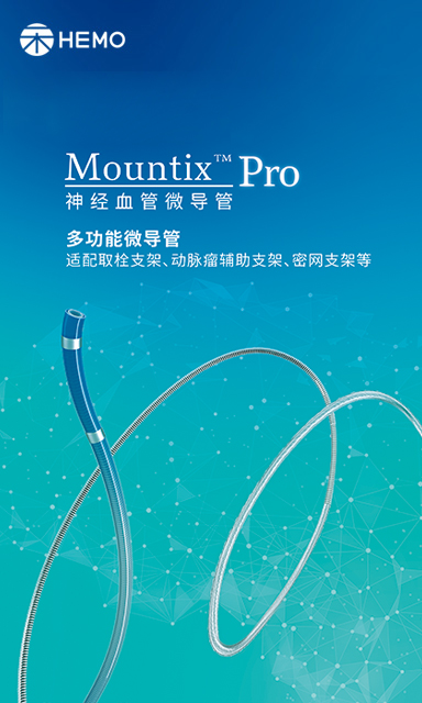 Mountix™ Pro 神经血管微导管