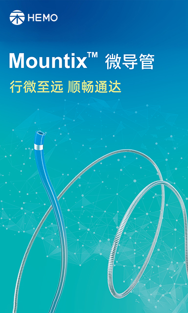 Mountix™ 微导管